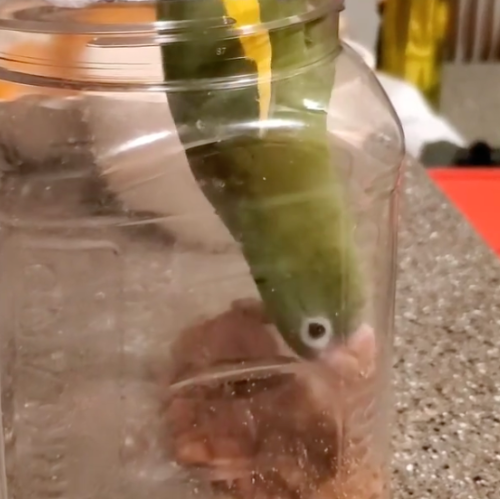 &ZeroWidthSpace;Just vibin.